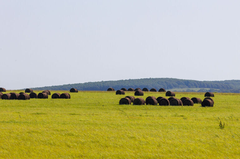   Тимур Ханов/«Парламентская газета»
