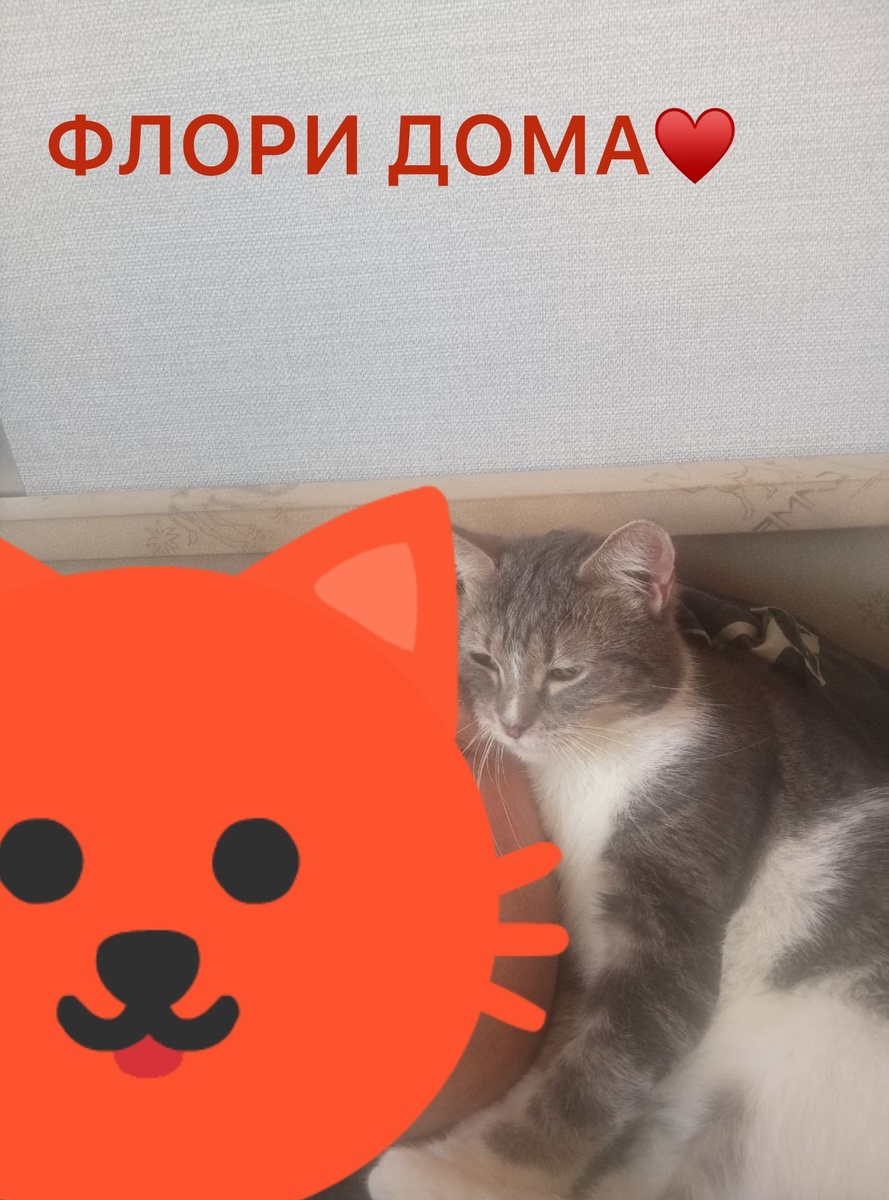 Мой самый любимый хозяин))💞