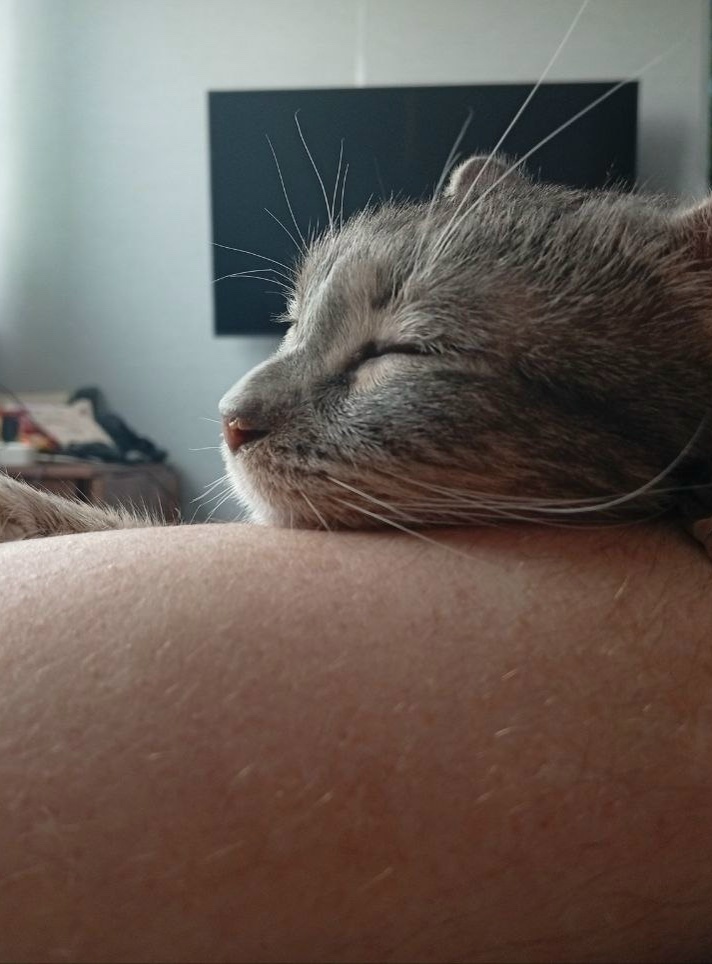 Мяу хозяин, теперь спи спокойно я с тобой 😻