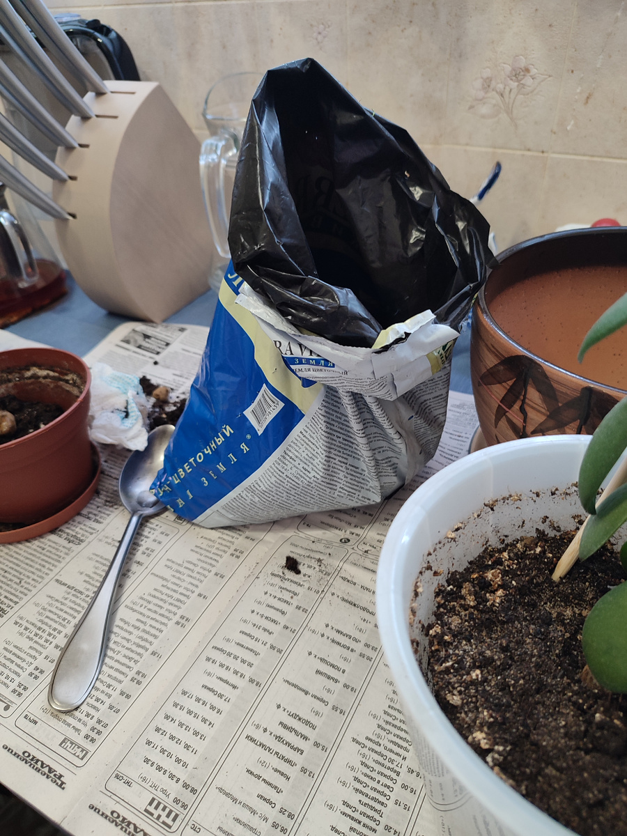 Процесс пересадки😉