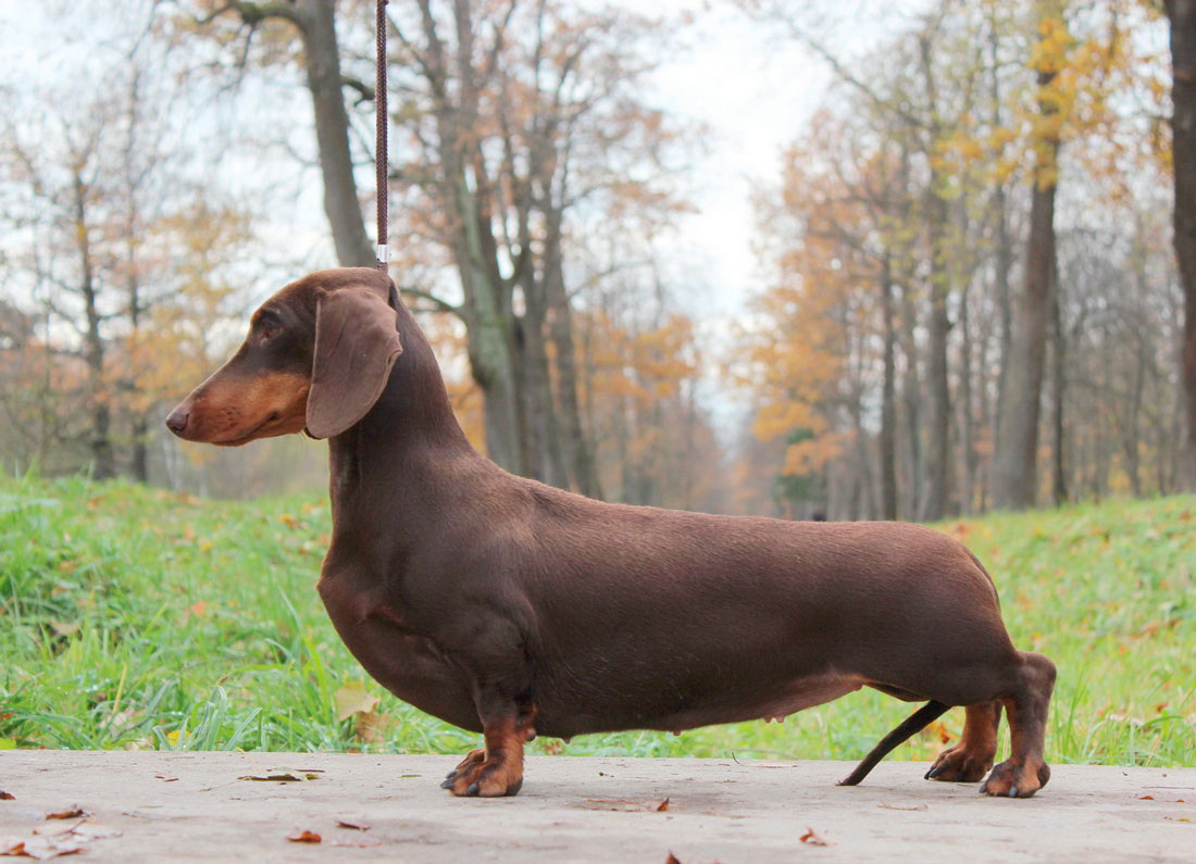 источник фото: https://static.tildacdn.com/tild3932-6661-4764-a163-353839653433/3-10.jpg