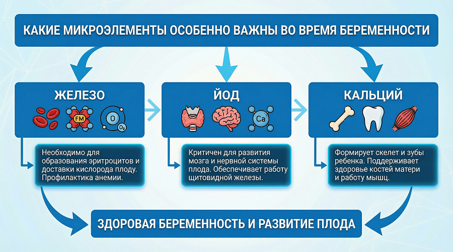 Какие микроэлементы особенно важны во время беременности