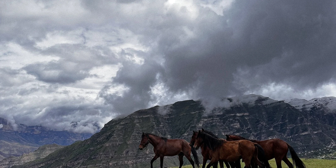 Что в Дагестане думают о туристах и как к ним на самом деле относятся