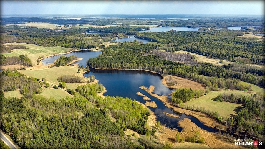 Озеро Долгое. Витебская обл.Яндекс картинки.