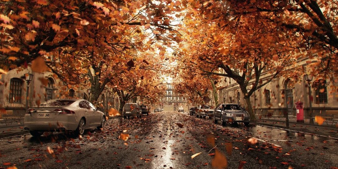 А дома лучше, что ни говори