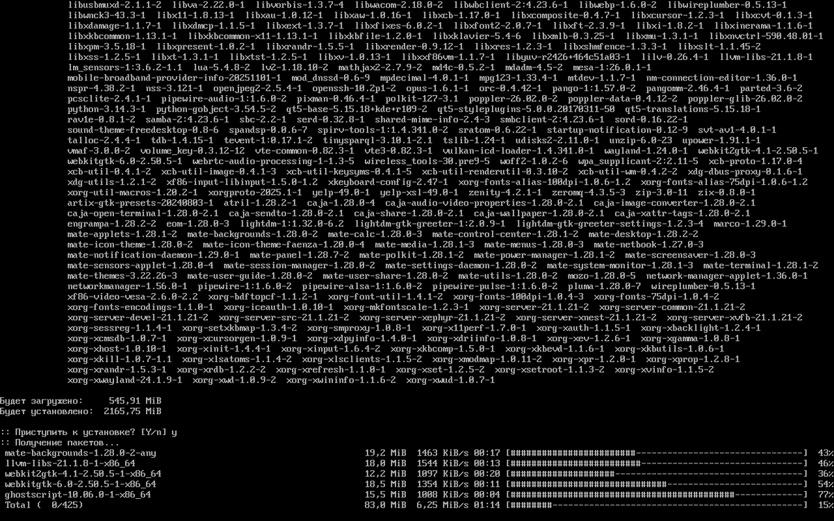 Процесс установки пакетов 