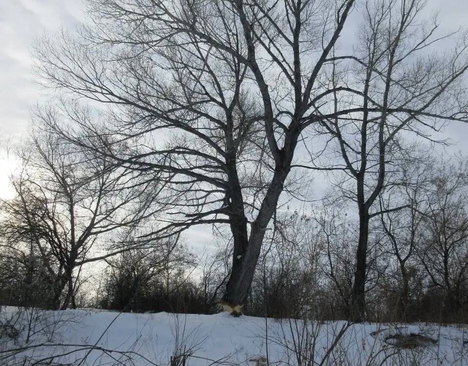 Фото инспектора Нововаршавского района.