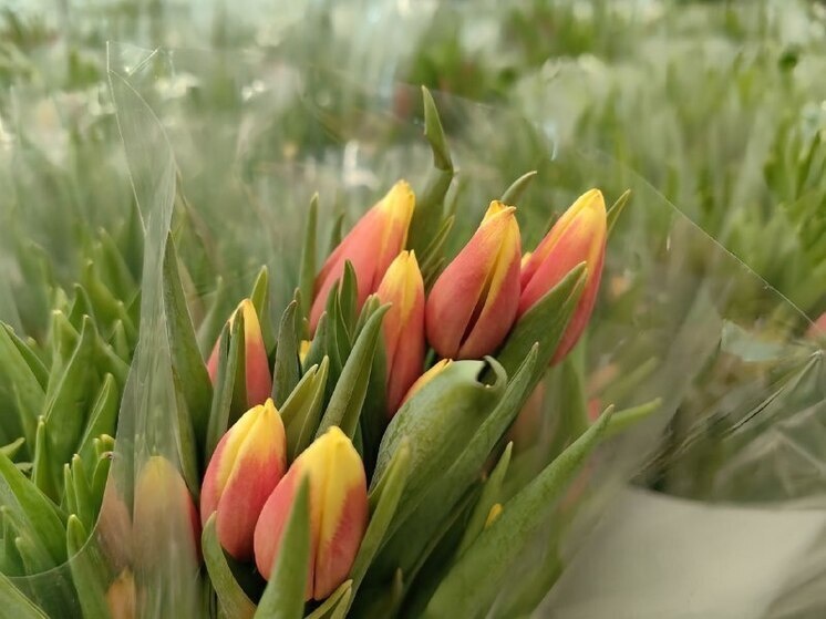     10 подарков на 8 Марта, от которых расстроятся хабаровчанки / Кирилл Старков