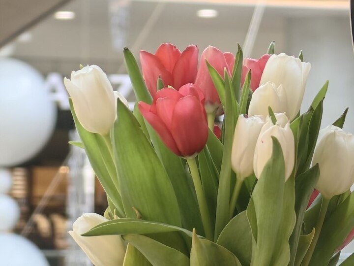   Кирилл Старков