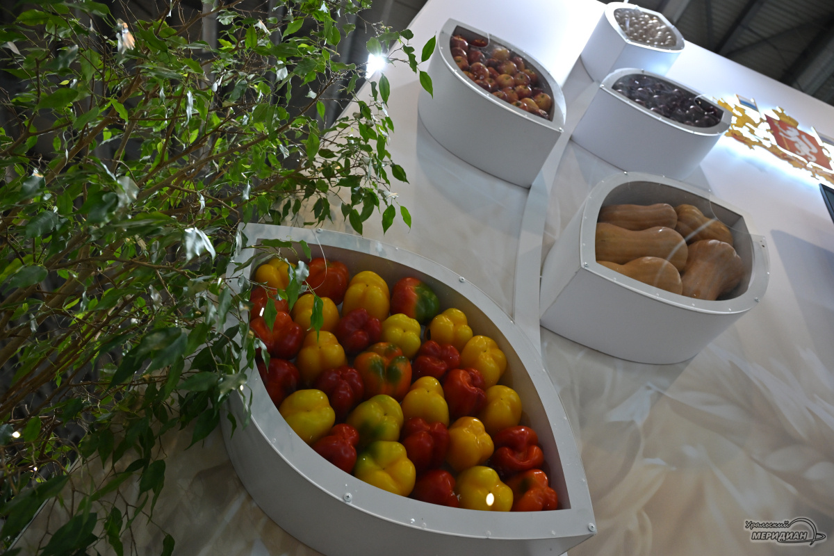    Фото: Анастасия Сибирякова © ИА «Уральский меридиан»