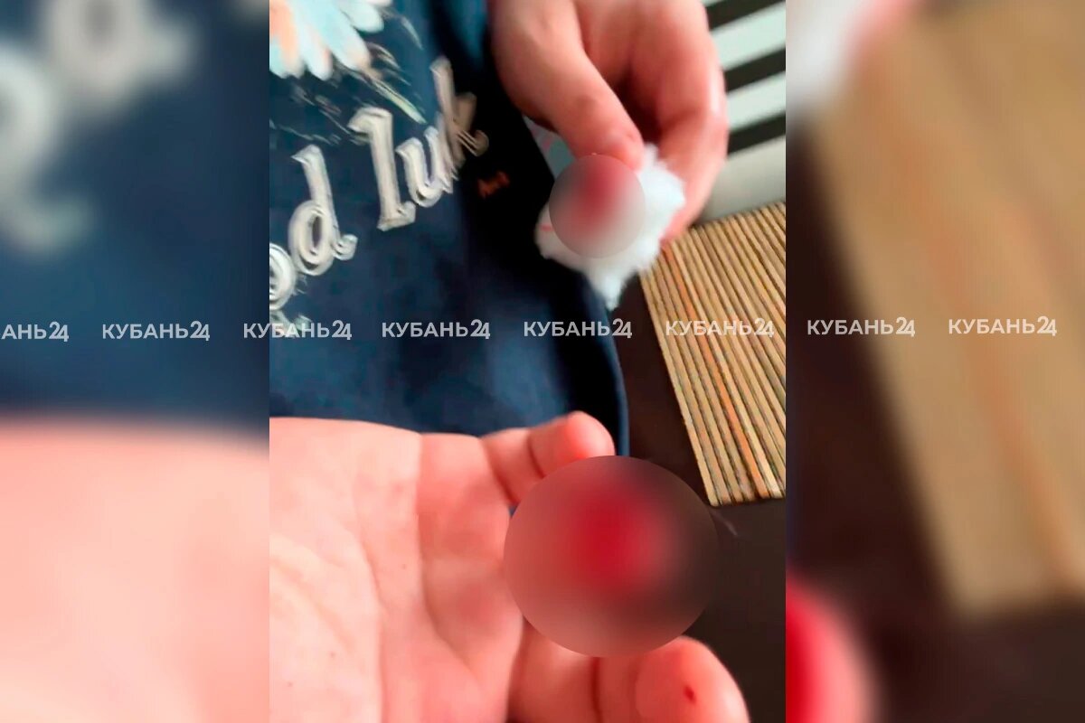    Фото «Кубань 24»