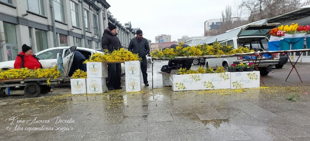 Март. Шаг за шагом