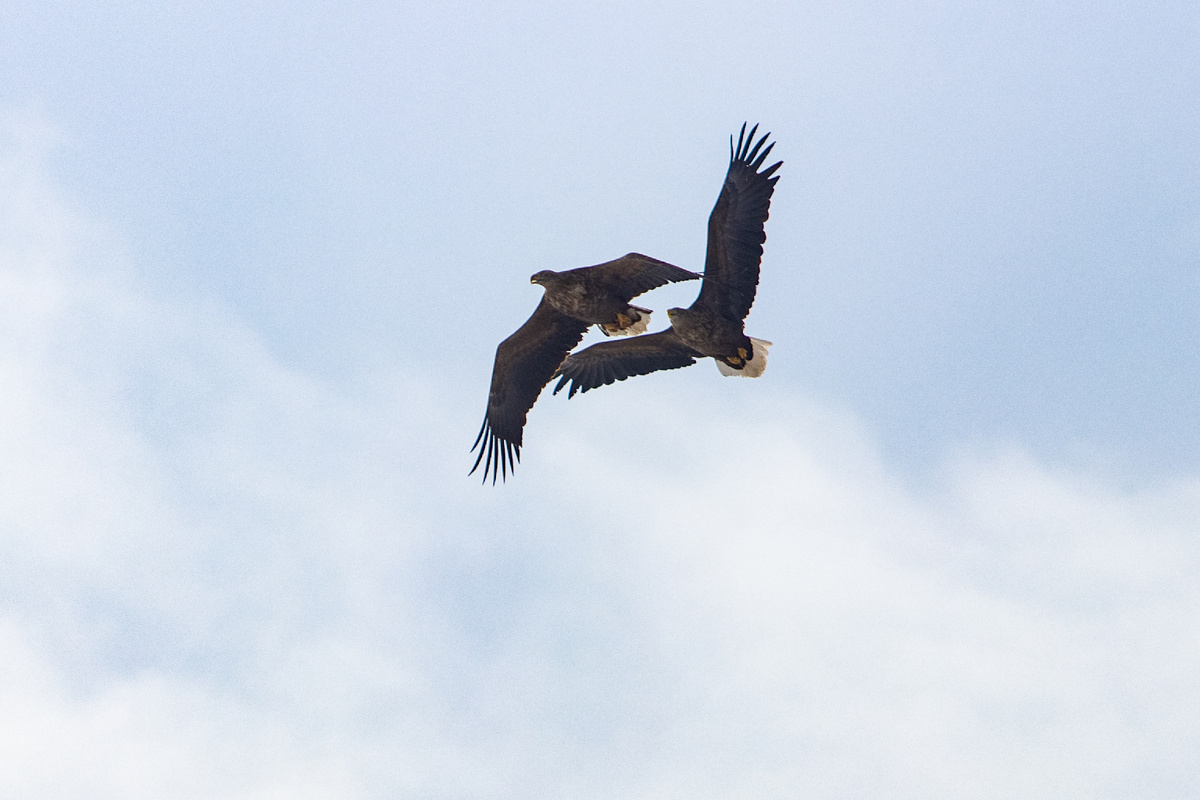 Наверное у них любовь