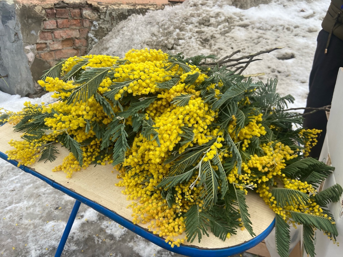    фото: Изображение сгенерировано нейросетью FLUX.2