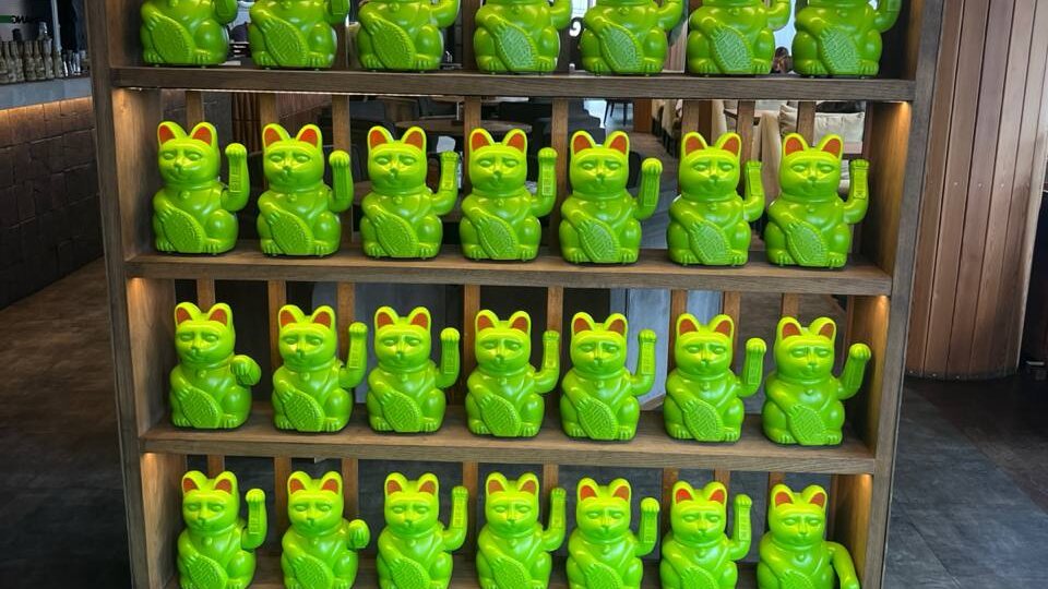 Фотоотзыв от CANG RROOM