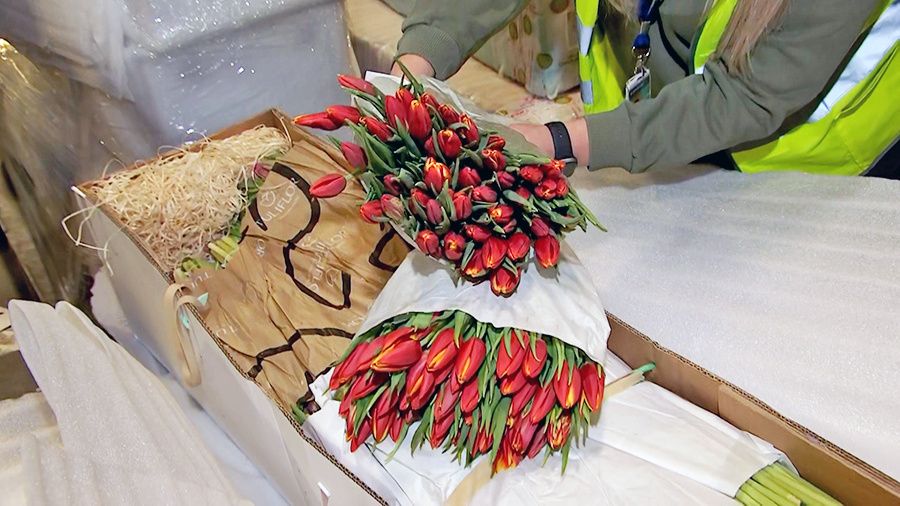    © АО "ТВ Центр"