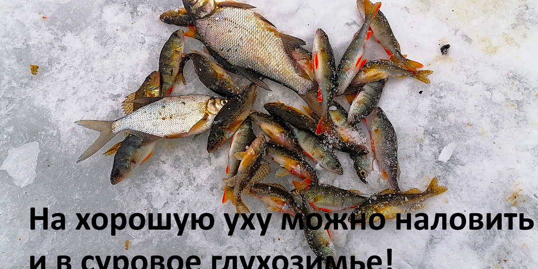 Глухозимье 2. Как вернуться домой с уловом.