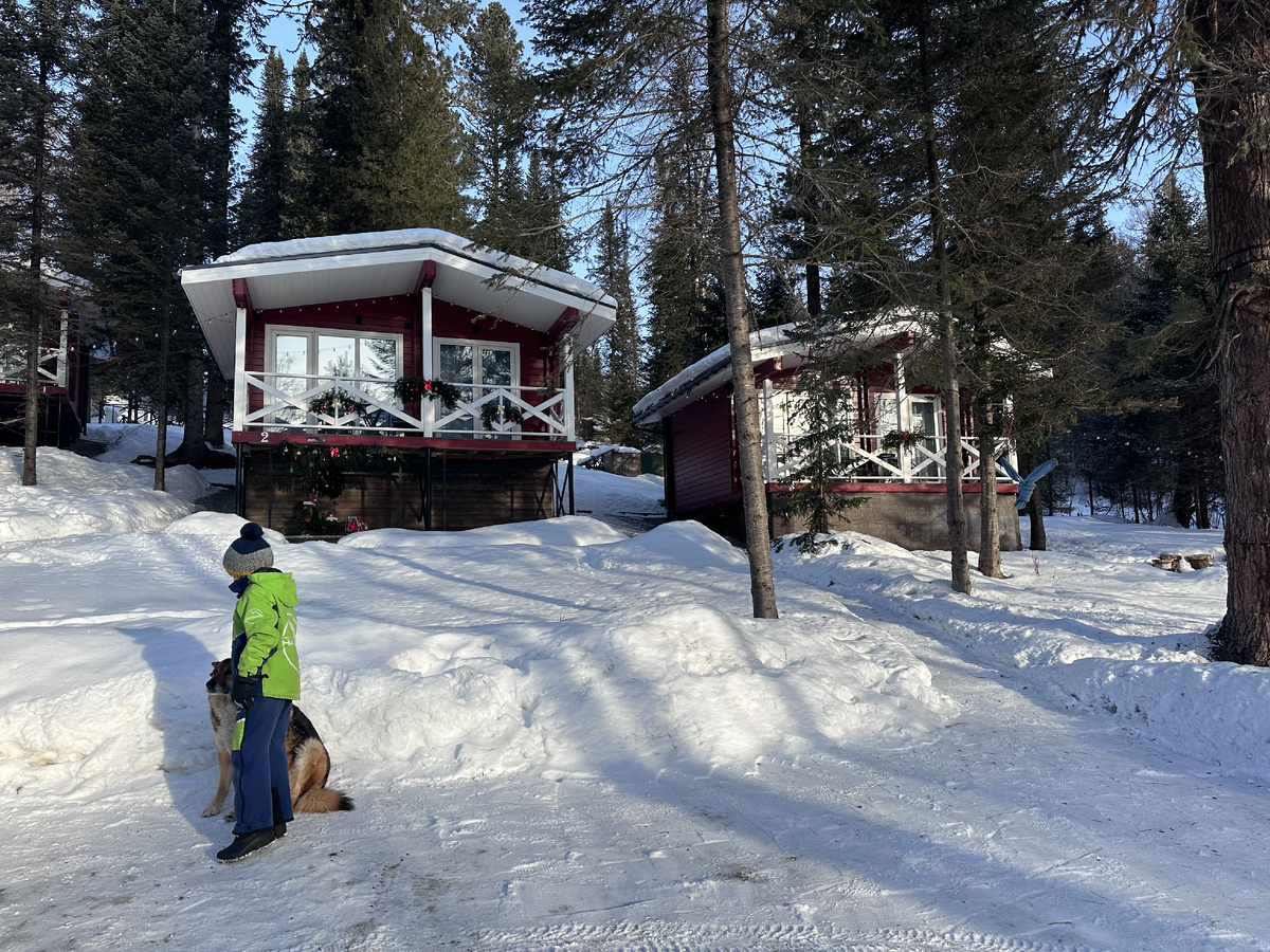 Шале под Кедрами Телецкое