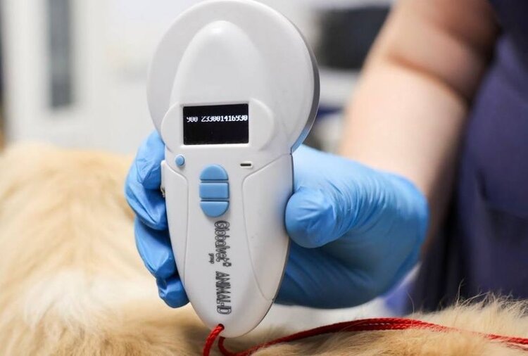    Фото: Минсельхозпрод Московской области