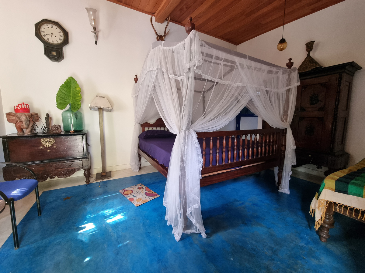 Морагалла. Шри-Ланка. Фото автора статьи.