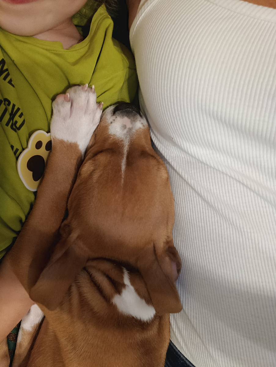 Пришёл спать ко мне с Алисой, когда смотрели мультики