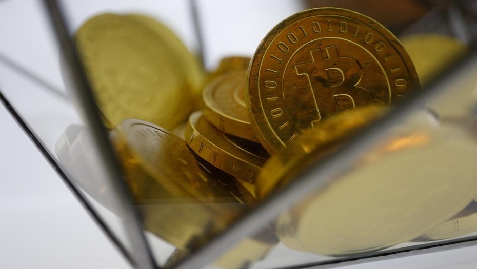    Автор фото: Антон Ваганов