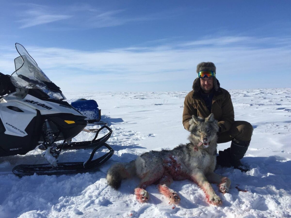 Фото из Яндекса 