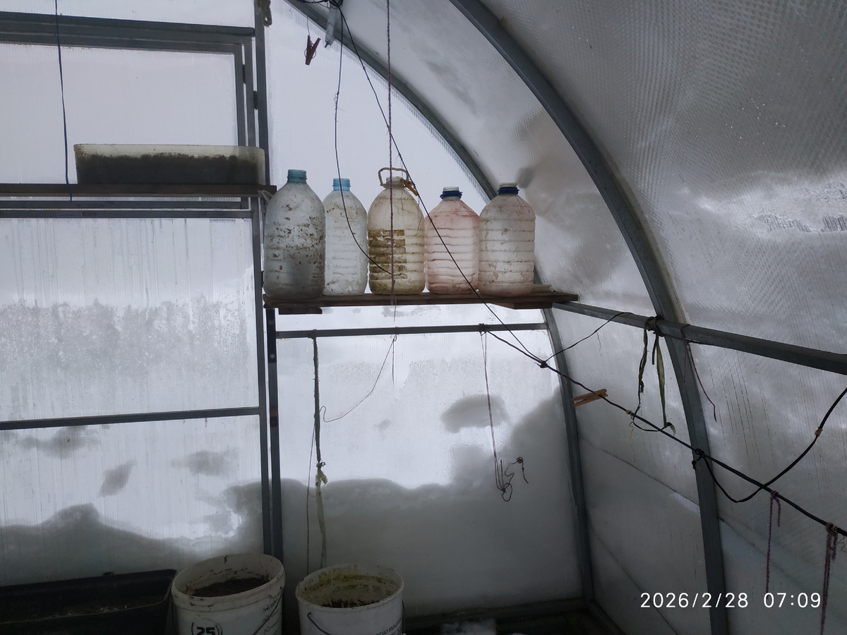 Бутыли без воды в ожидании весны...