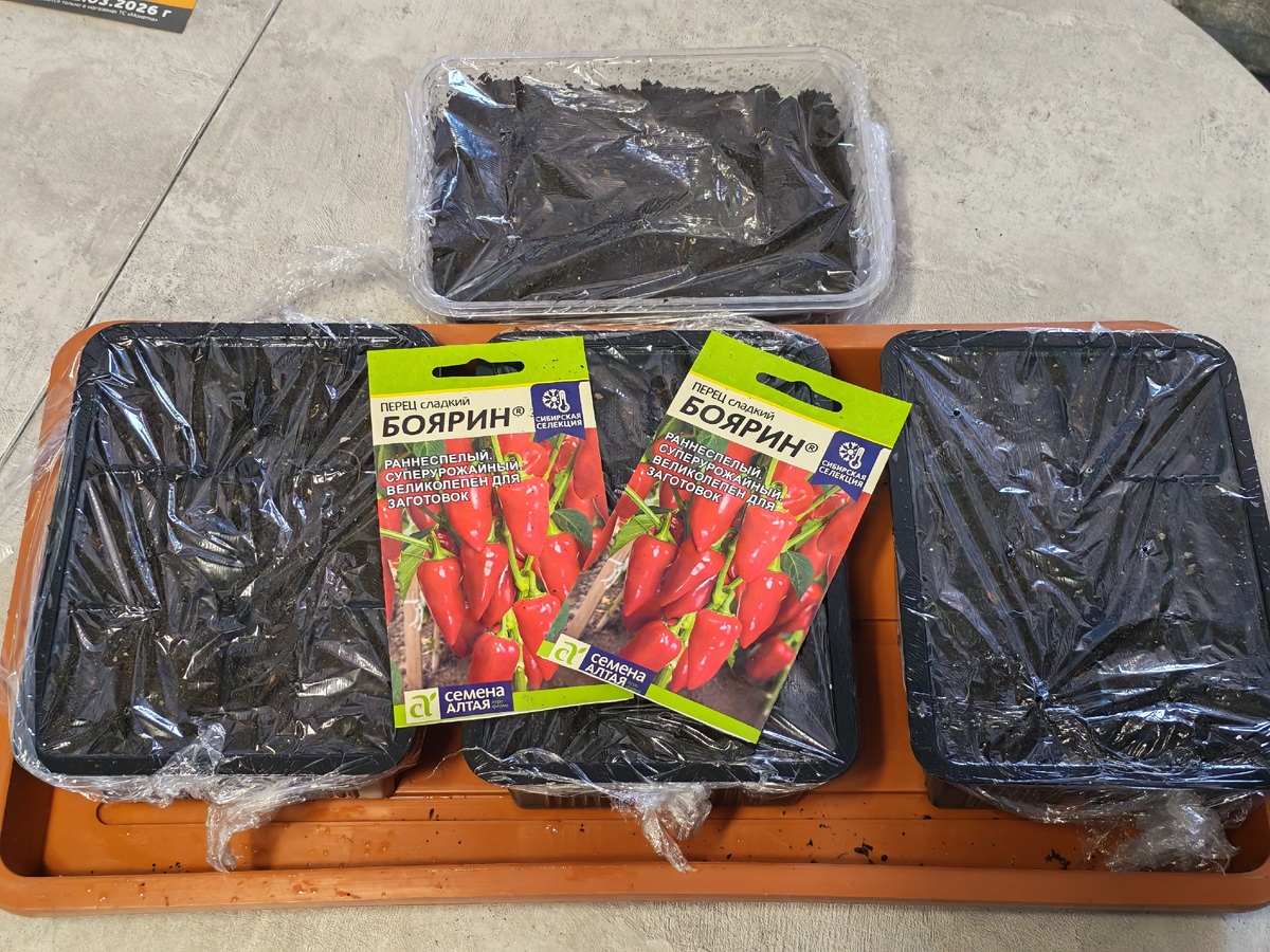 Личное фото автора канала