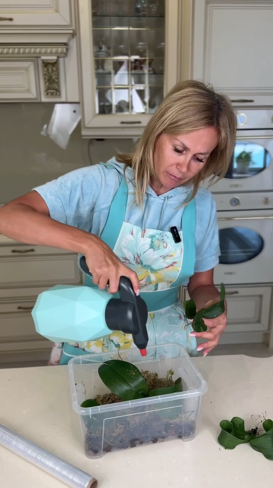 Поддерживайте влажность, но не устраивайте болото!