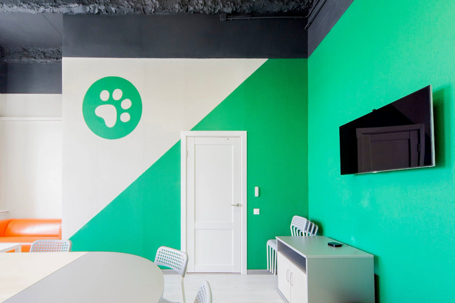 Окраска стен и потолка офиса компании Lingualeo