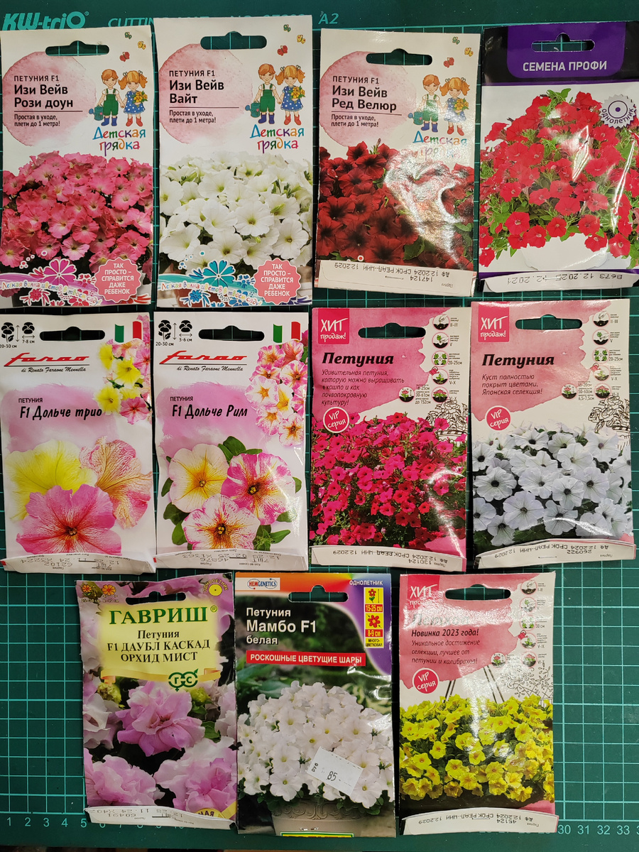 11 сортов петунии. И это я ещё вовремя остановилась