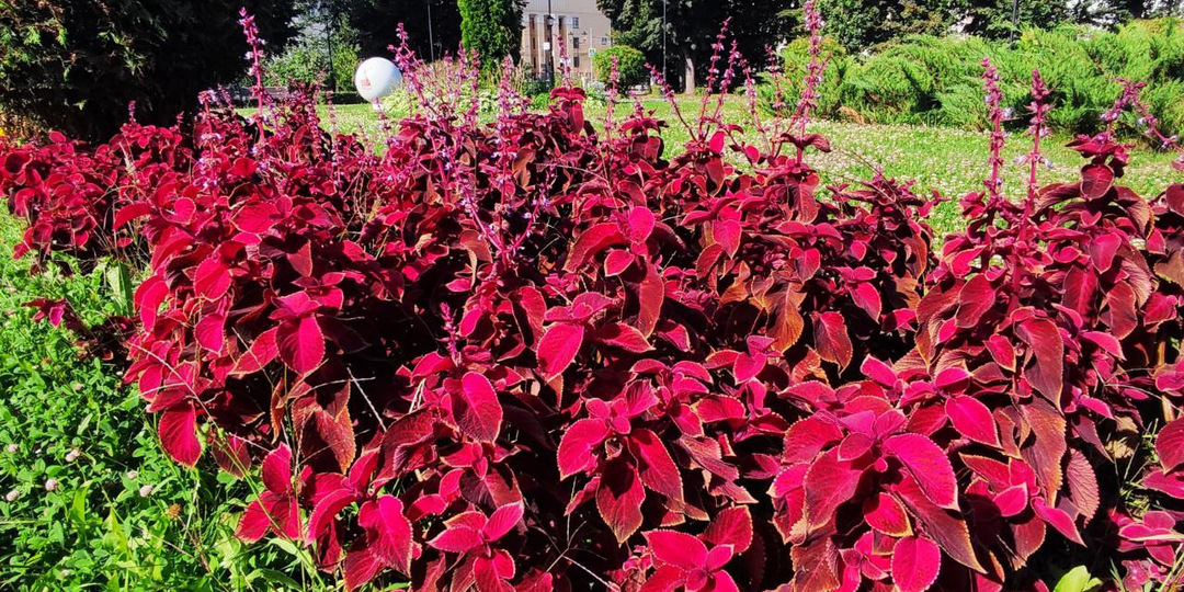 Отличница всегда и везде. Глава 5.