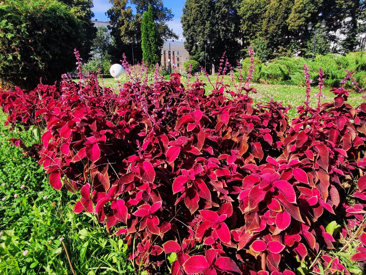 Фото автора.