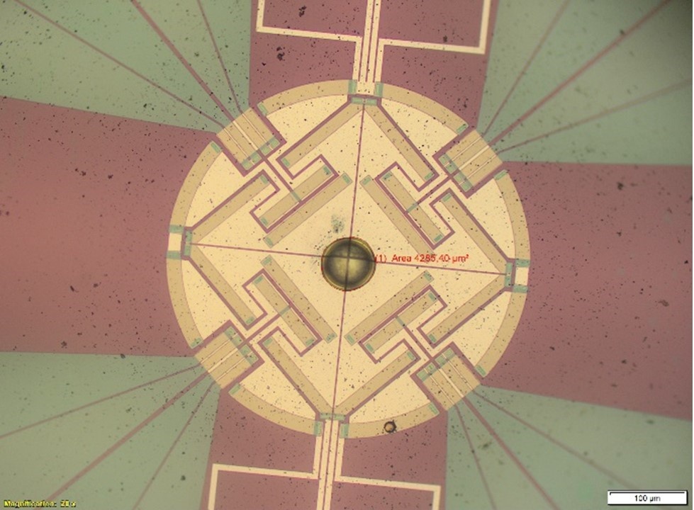Изображение чип-сенсора, использованного для исследования новых молекул. Источник: Руслан Нагриманов / Казанский (Приволжский) федеральный университет