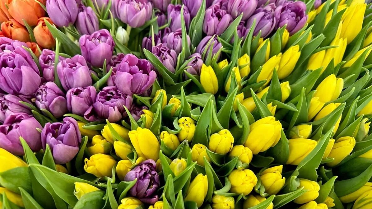 Фото: UfacityNews.ru