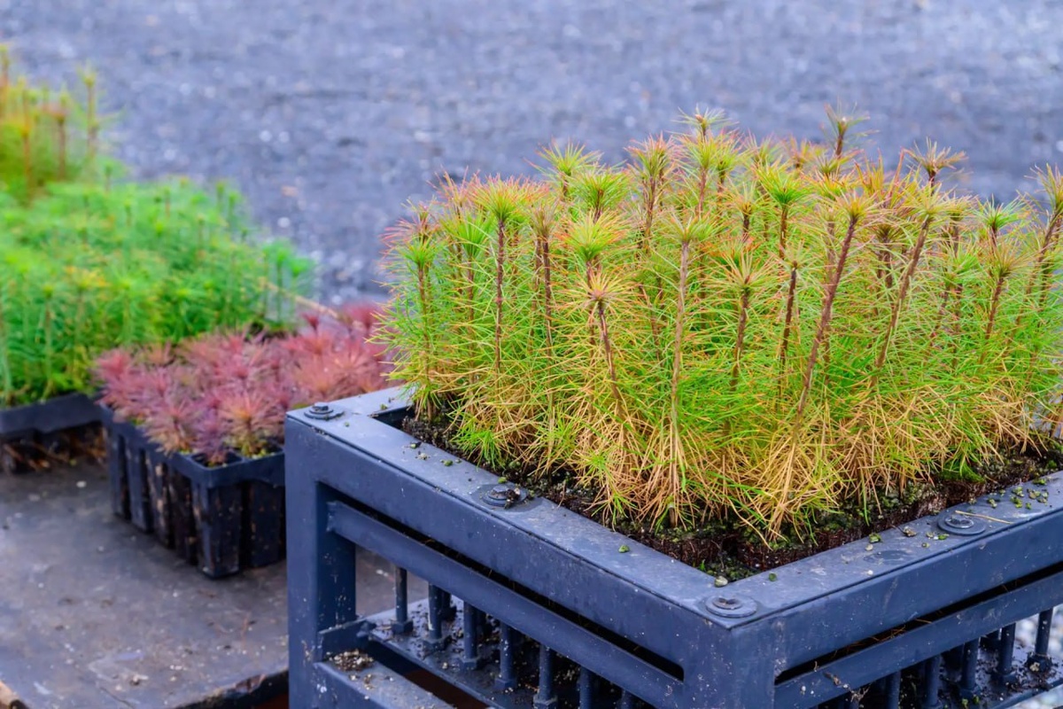 Фото пресс-службы Администрации Главы Марий Эл