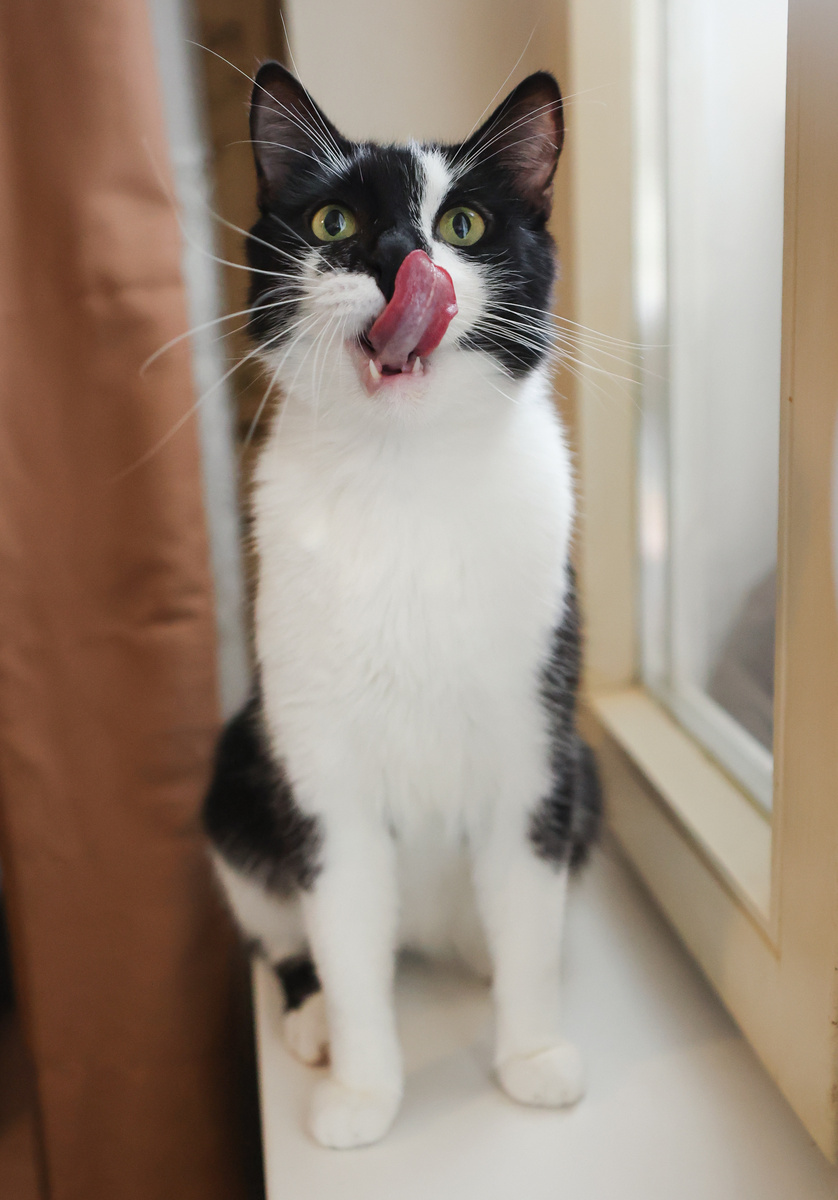 Может, потому что я ОБЖОРКА?