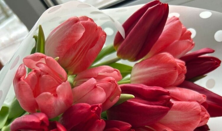    Фото: Департамент информационной политики Правительства Тамбовской области