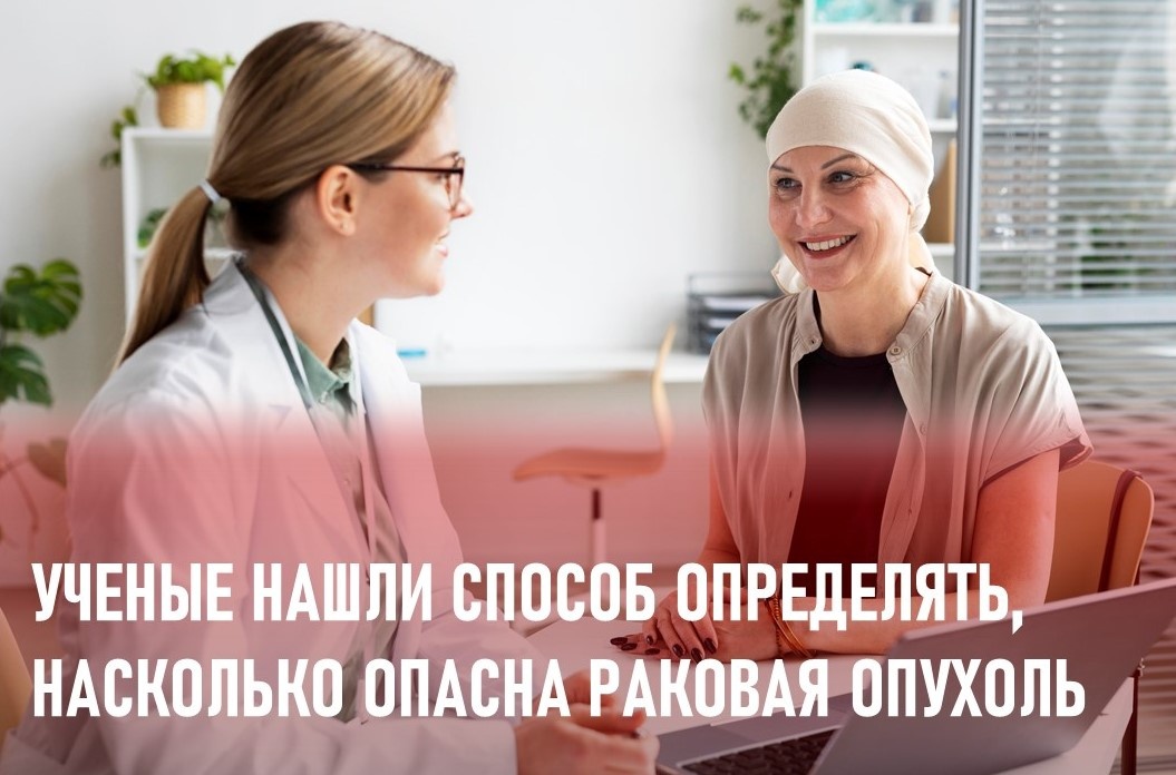 Фото: https://ru.freepik.com/