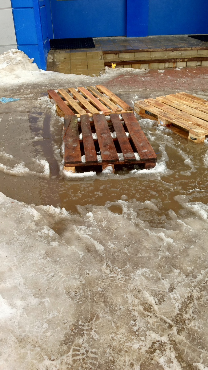 Фото автора.