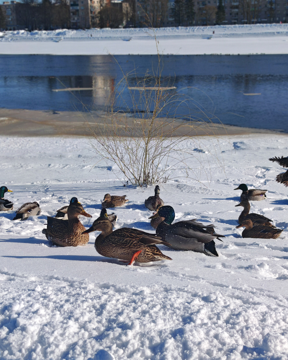 Уже чувствуется наступление весны