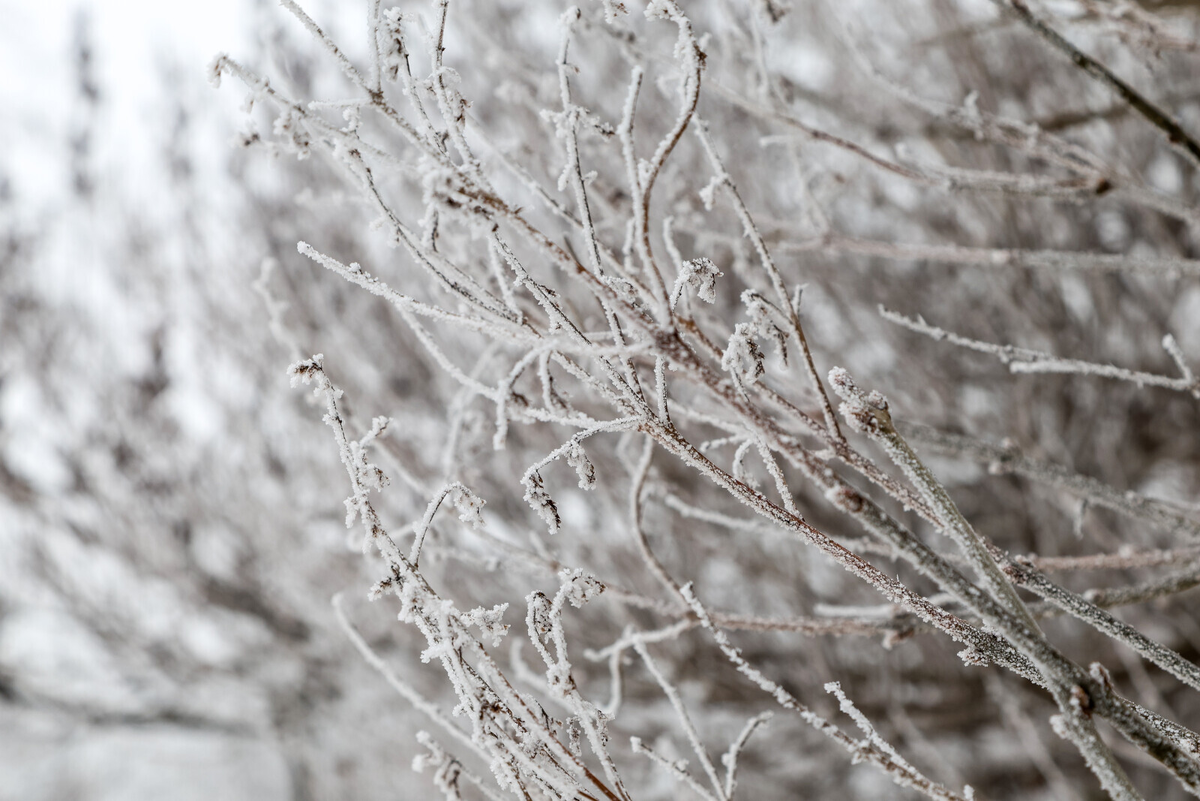Фото: Олег Золото