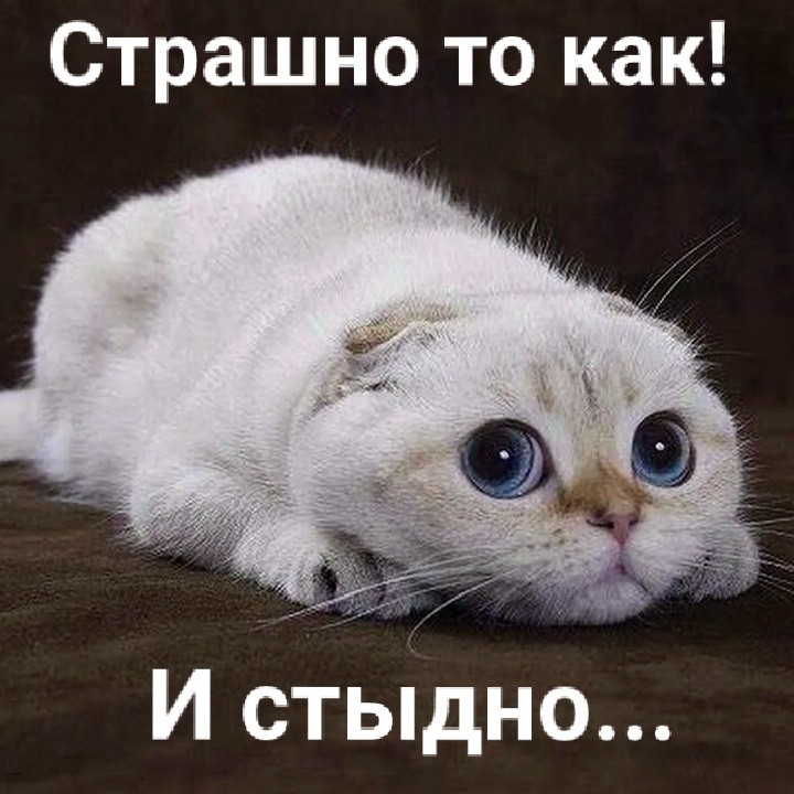 Может не узнают... Хоть бы эти тапки никому сегодня не понадобились...