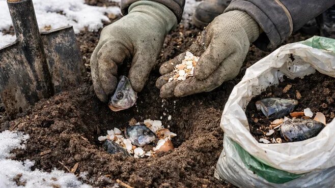 Фото: REGIONS/Сгенерировано нейросетью