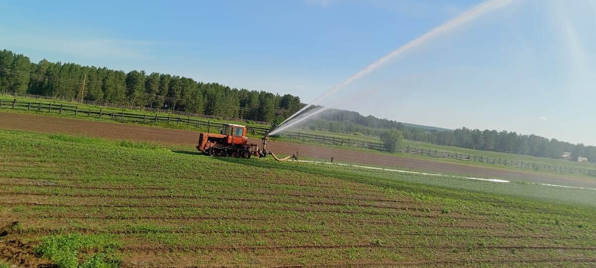 Старая советская ДДН весит около 700 кг, выдавала дальность 55 м.