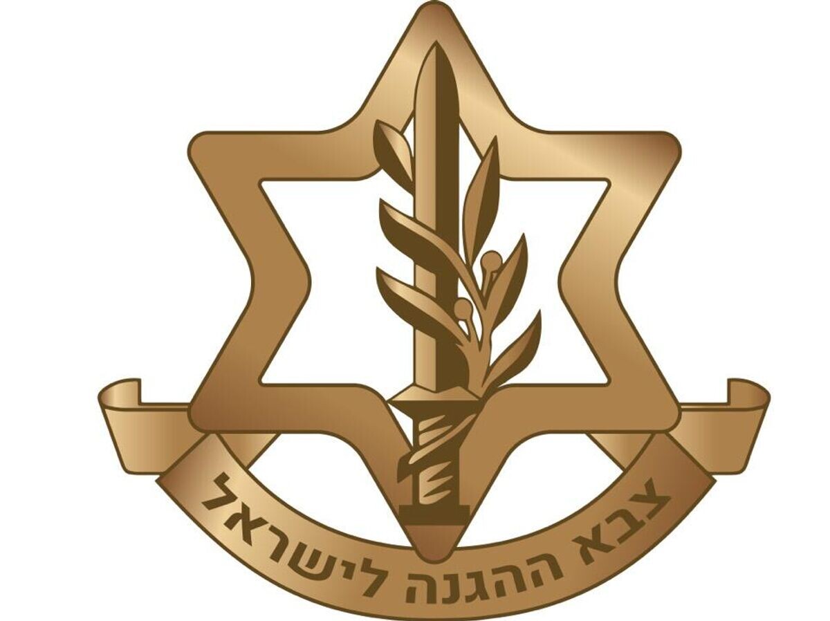    Эмблема Армии обороны Израиля (ЦАХАЛ) | CC BY-SA 3.0 / Пресс-секретариат Армии обороны Израиля / Israel Defense Forces Emblem
