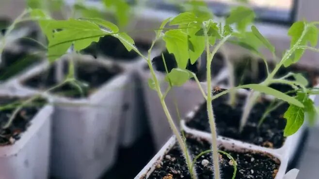 Фото: REGIONS/Наталья Надточая