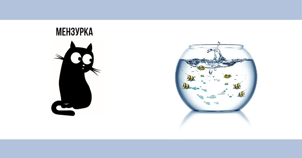 Мензурка купил много рыбок