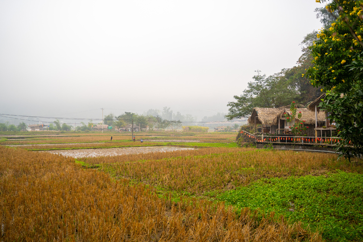 Утро Май Чау